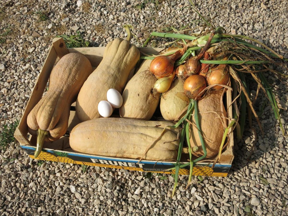 פסקנטינה Agriturismo Fior Di Maggio מראה חיצוני תמונה