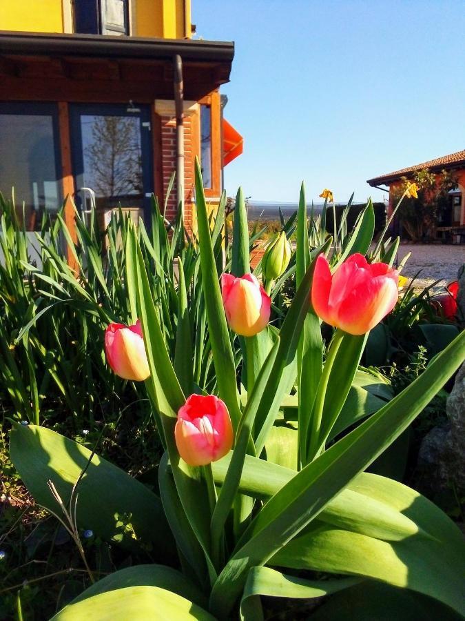 פסקנטינה Agriturismo Fior Di Maggio מראה חיצוני תמונה