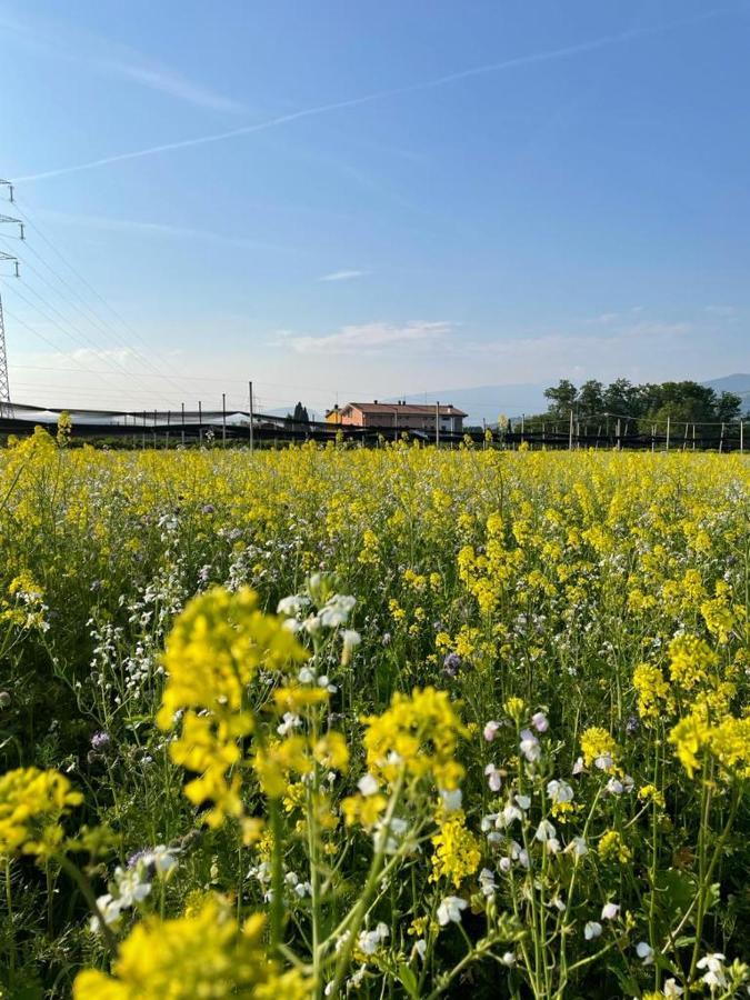 פסקנטינה Agriturismo Fior Di Maggio מראה חיצוני תמונה