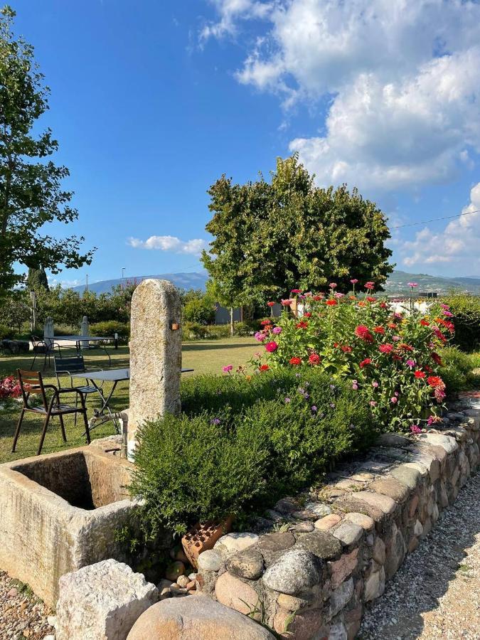 פסקנטינה Agriturismo Fior Di Maggio מראה חיצוני תמונה