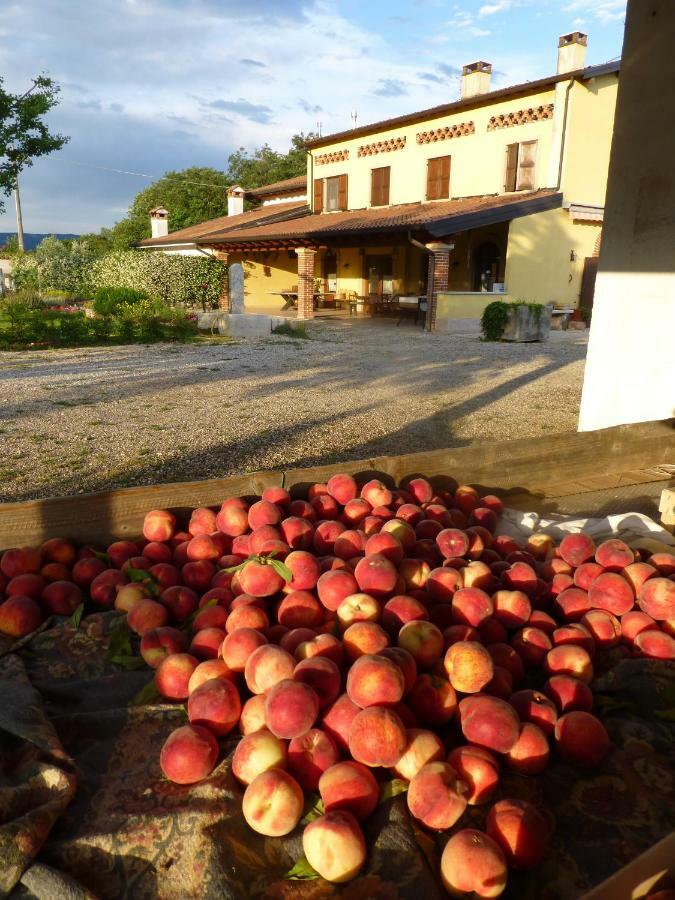 פסקנטינה Agriturismo Fior Di Maggio מראה חיצוני תמונה